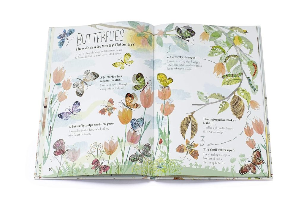 The Big Book of Bugs book inside spread - Butterflies