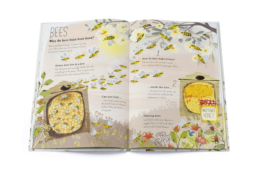 The Big Book of Bugs book inside spread - Bees