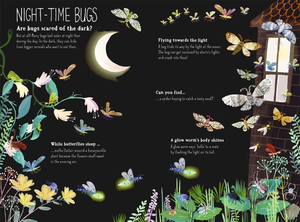 The Big Book of Bugs book inside spread - Night-time bugs