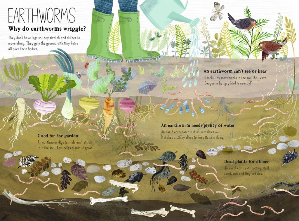 The Big Book of Bugs book inside spread - Earthworms