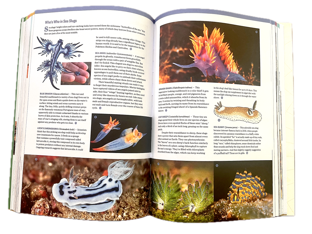 Atlas Obscura: Wild Life book sea slugs spread