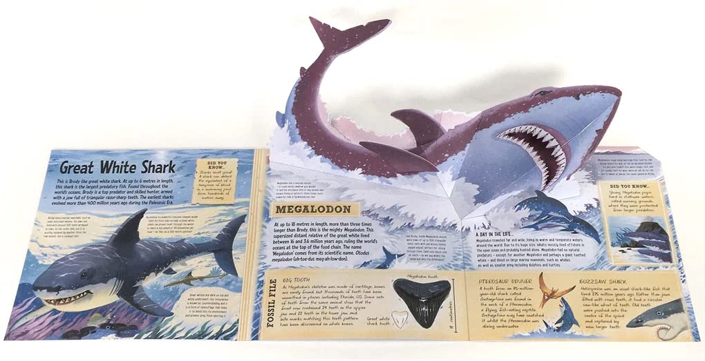 Prehistoric Beasts book inside spread – Great white shark and megalodon
